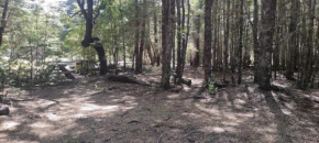 Camping Flor del Llaima